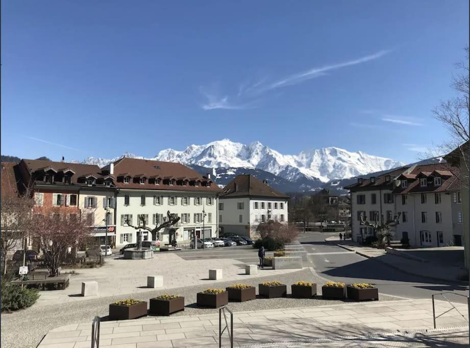 Appartement Spacieux Au Pays Du Mont-Blanc Sallanches Esterno foto
