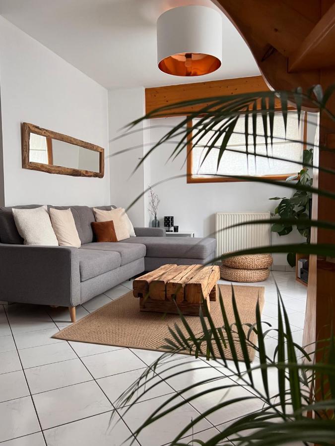Appartement Spacieux Au Pays Du Mont-Blanc Sallanches Esterno foto