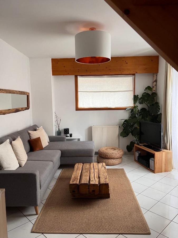 Appartement Spacieux Au Pays Du Mont-Blanc Sallanches Esterno foto